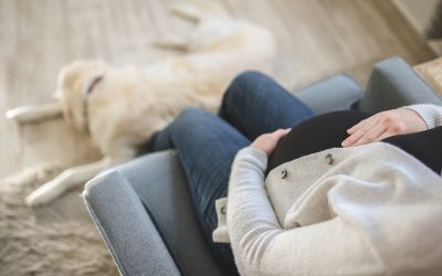 A béranyaságot is bevállalnák a gyermektelenek
